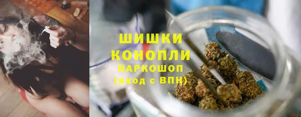 крисы Баксан